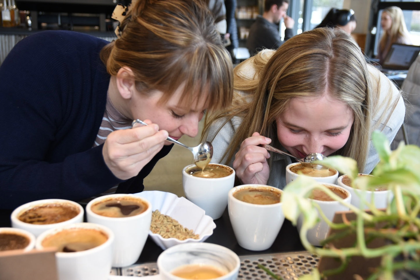 Cupping & Sustainability: From Farm to Cup