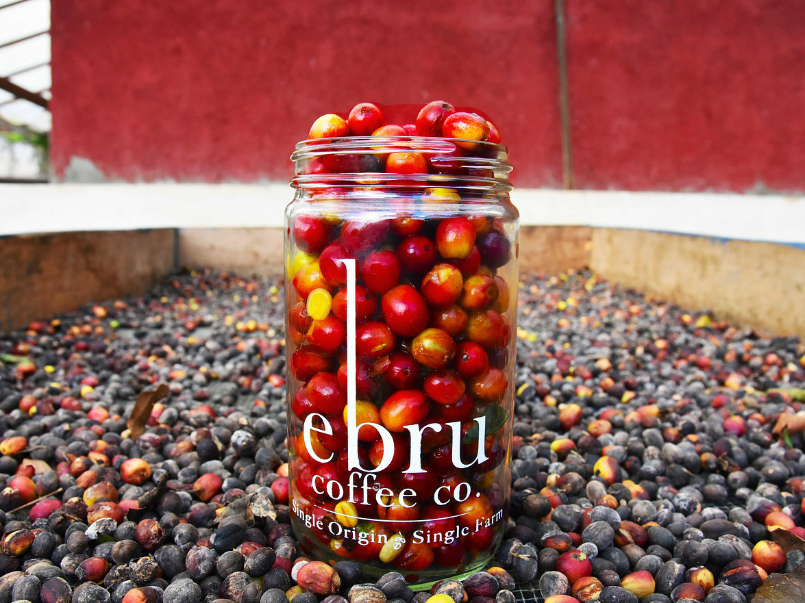 Ebru Coffee single-origin cherries in a jar on coffee cherries