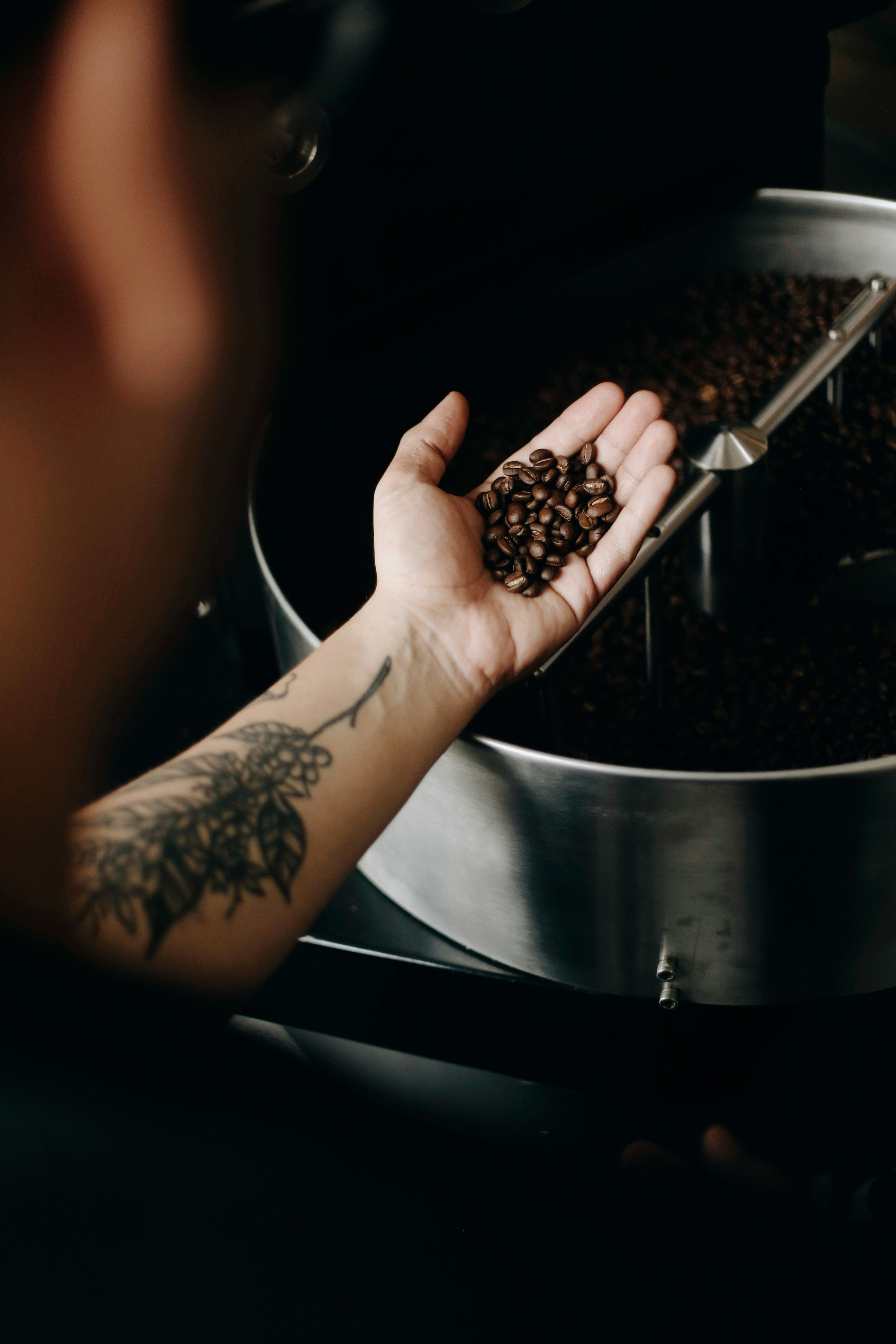 person holding roasted coffee beans near stainless steel machine