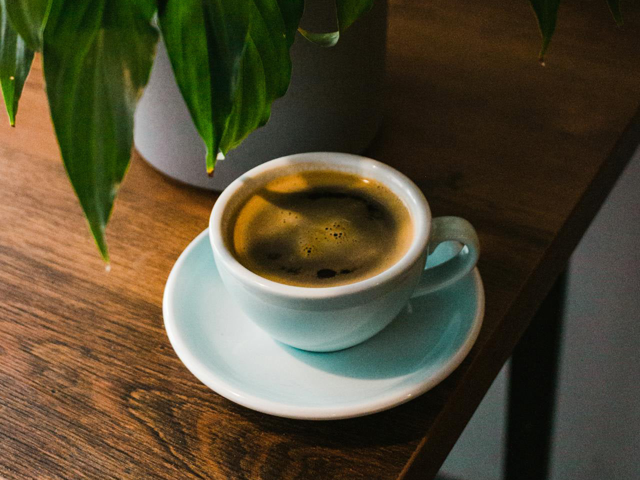 a cup of specialty coffee on a table next to a plant