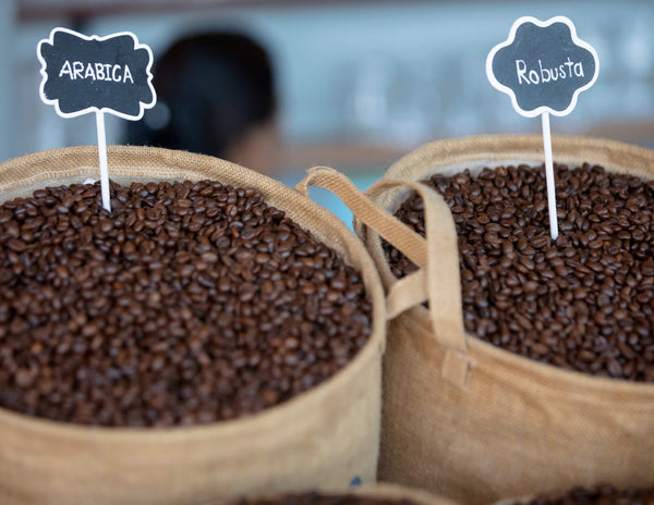 What Are Arabica and Robusta Blends, & Why Are They Becoming Popular?