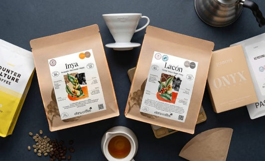 Best Coffee Beans for Pour Over: 5 Picks That Reward the Process