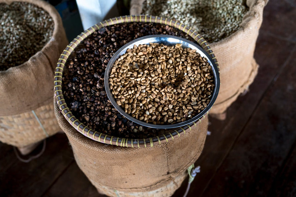 Exploring Different Coffee Bean Varieties