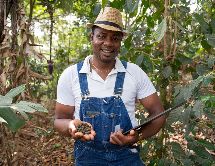 Specialty Coffee vs. Commercial Coffee Roasting: Key Differences