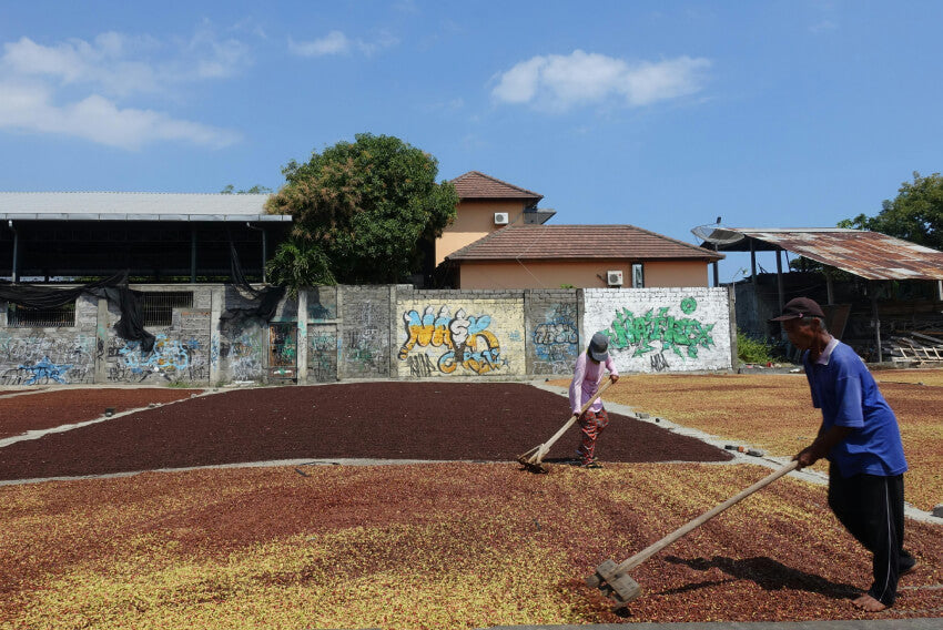 What Is Direct Trade Coffee? (And How It Differs From Fair Trade)