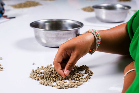 What Makes Coffee Truly High Quality (Beyond Marketing Terms)