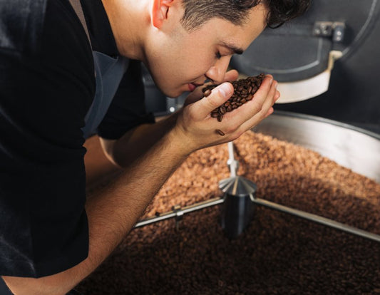 Why Coffee Aroma Matters More Than You Think