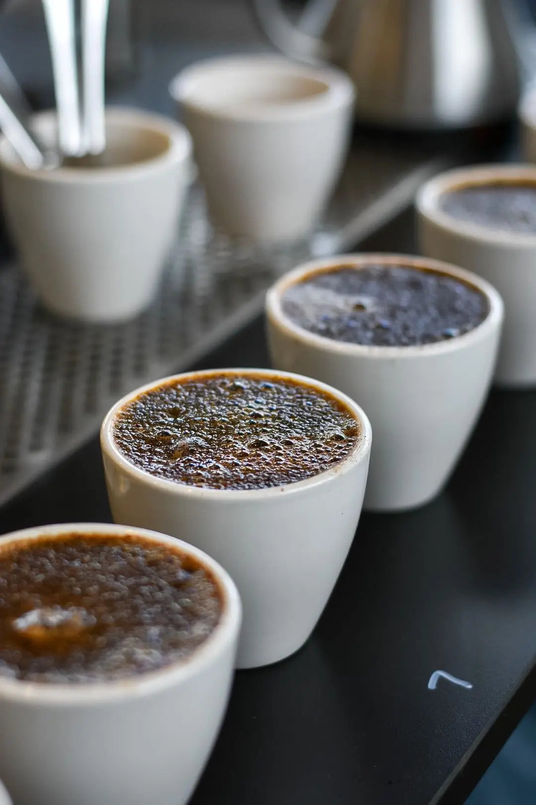 Cupping & Sustainability: From Farm to Cup