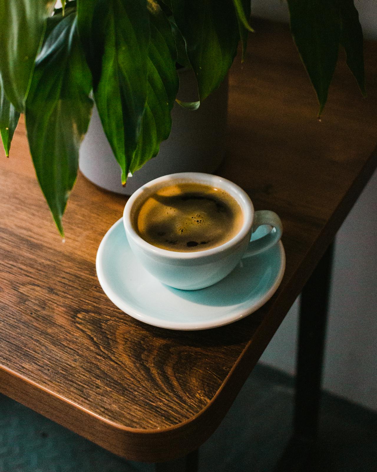 a cup of specialty coffee on a table next to a plant