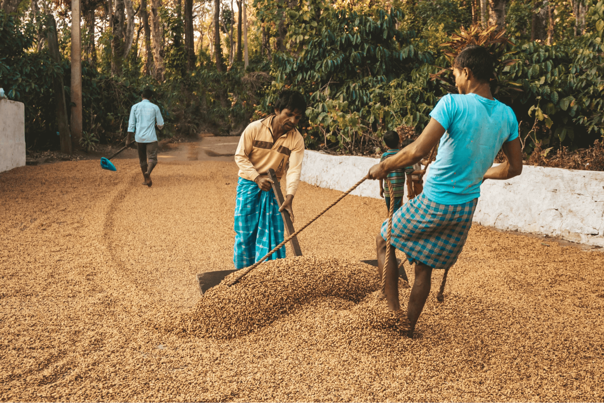 two people shoveling dirt