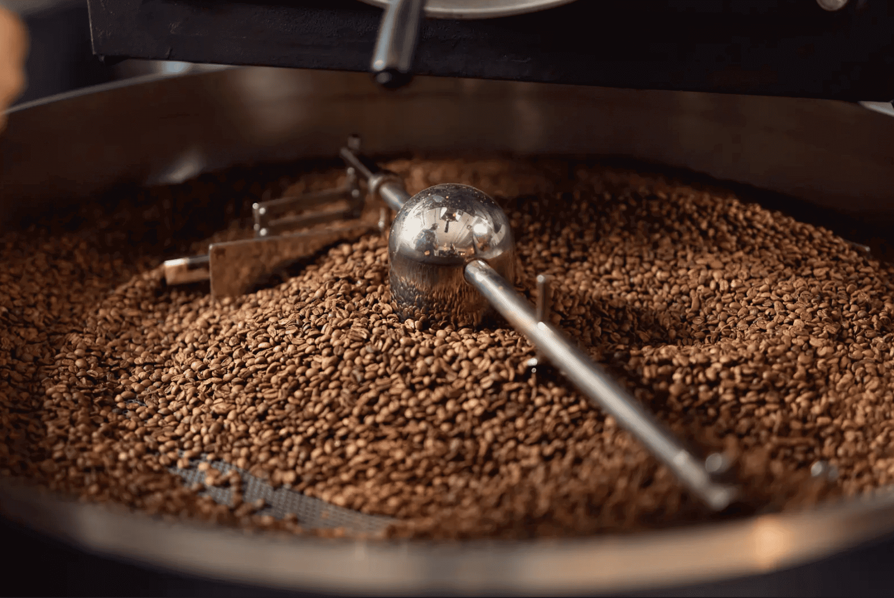 wholesale specialty coffee beans